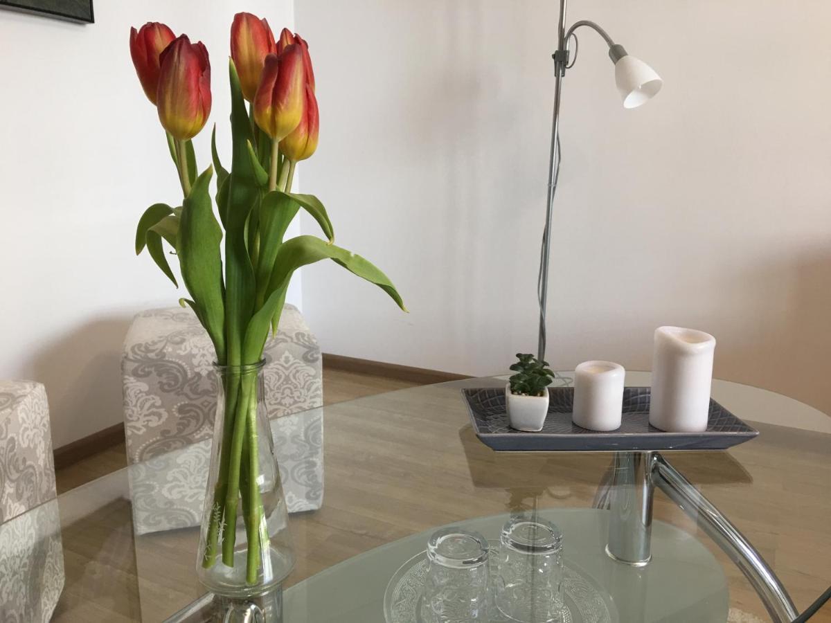 Elegantza Suites Braszów Zewnętrze zdjęcie